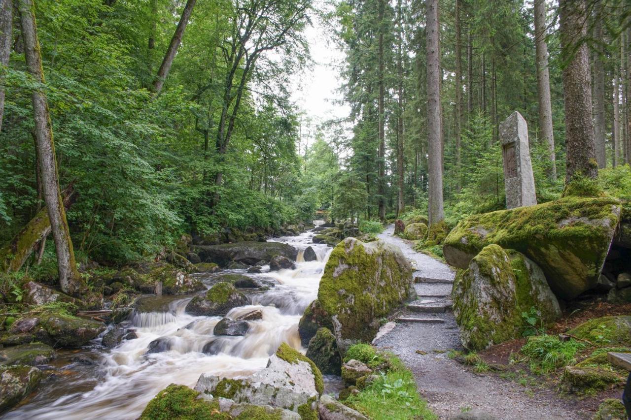 Ferienhaus Nordic Harmony Waldkirchen Buitenkant foto